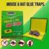 Mouse Trap